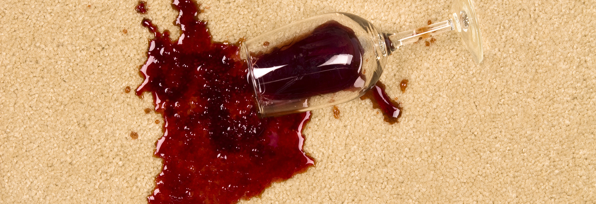 Haines Carpet Cleaning Header Image